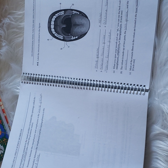 ⚡️ Textbook / Workbook : Preclinical Speech Science Workbook 2nd Edition - Picture 4 of 9